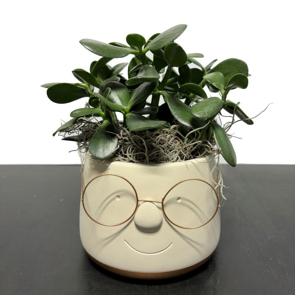 Happy Face with Jade Plant
