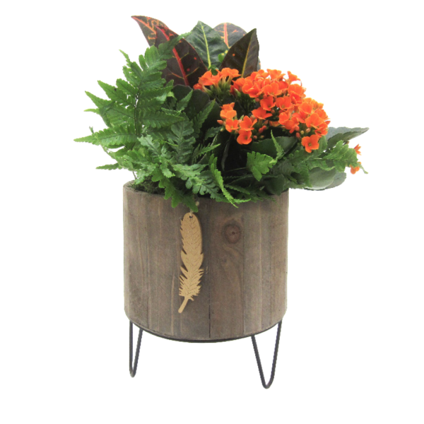 Modern Fall Timber Planter