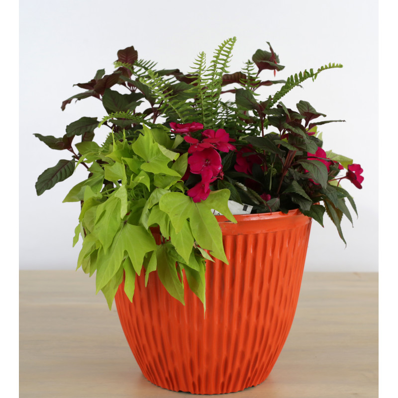 Outdoor Summer Plants - Extra Large Patio Planter (Green) - #1 Florist in  Central Ohio - Flowerama Columbus - Same Day Flower Delivery » Flowerama  Columbus