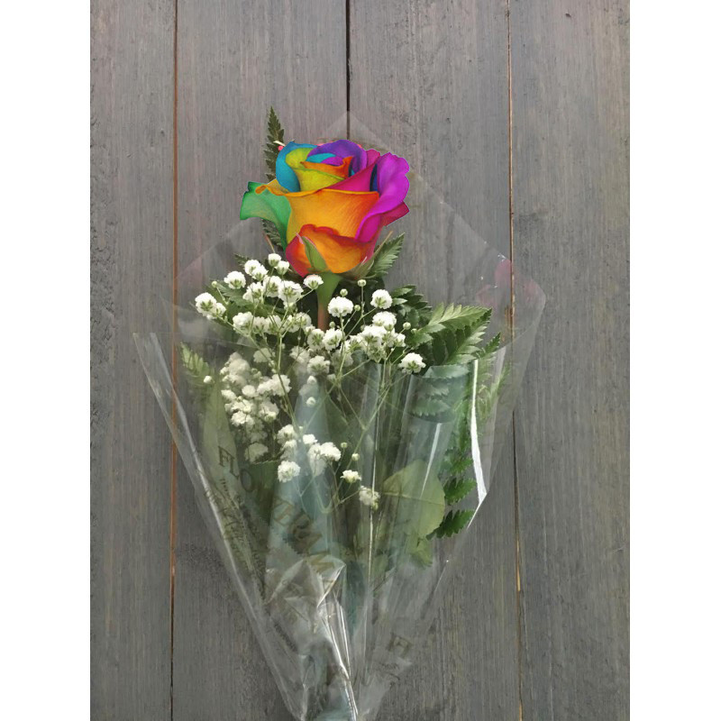 Rainbow Rose with Babies Breath - Same Day Delivery